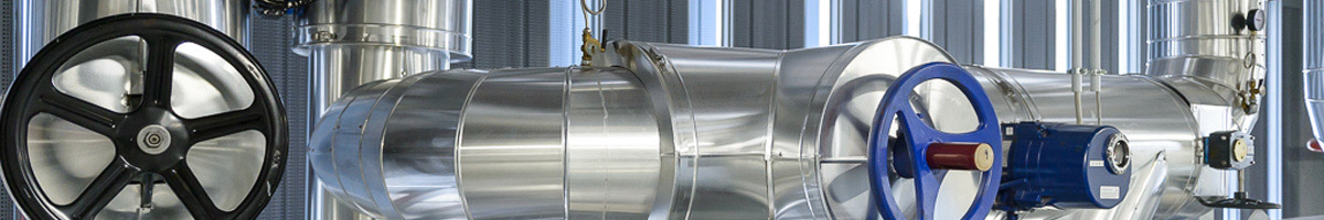 Energia pulita e rinnovabile