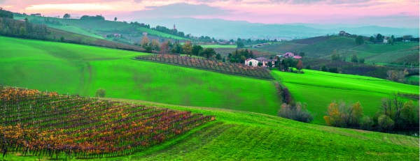 Comune di Valsamoggia